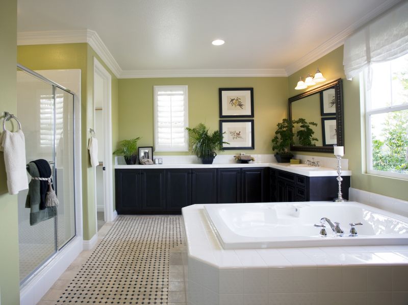 Elegant Bathtub Areas